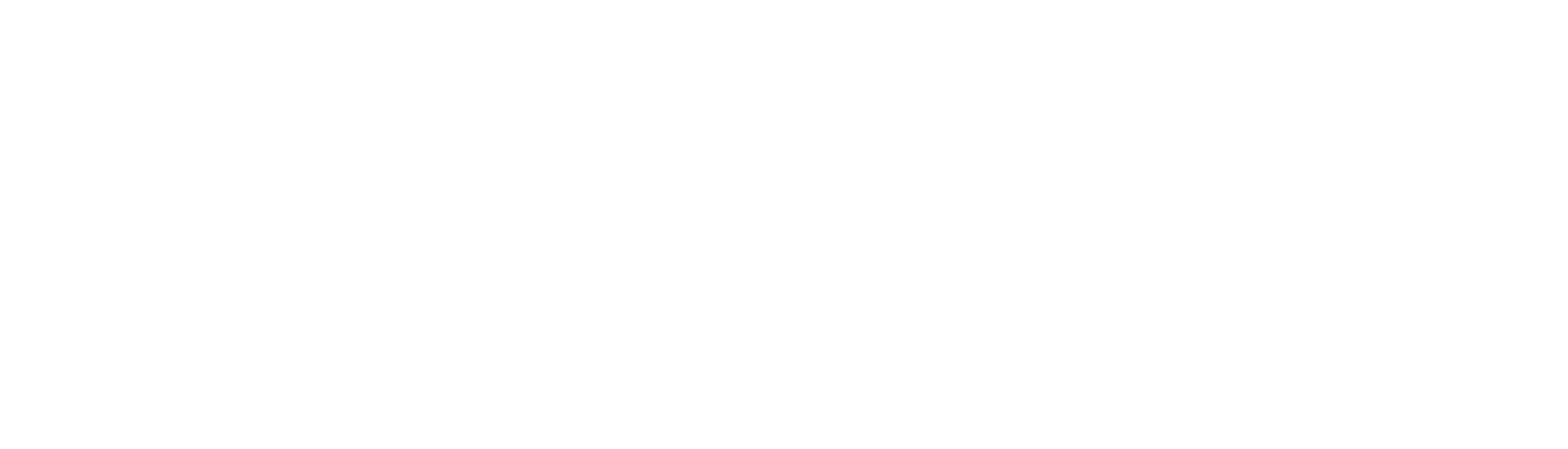 Nixo Network Logo